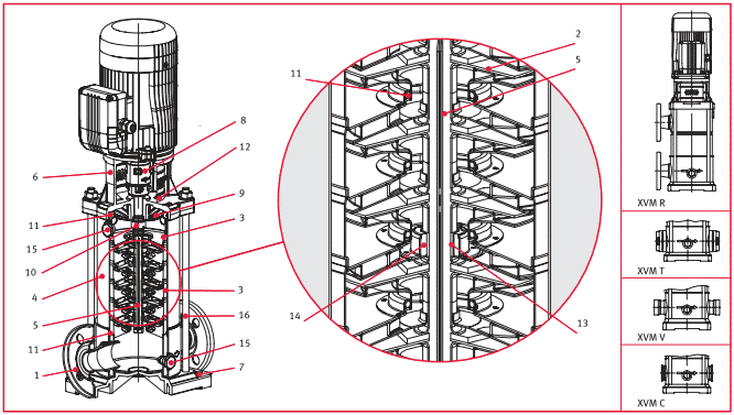     XVM4 22F40T, . 150081