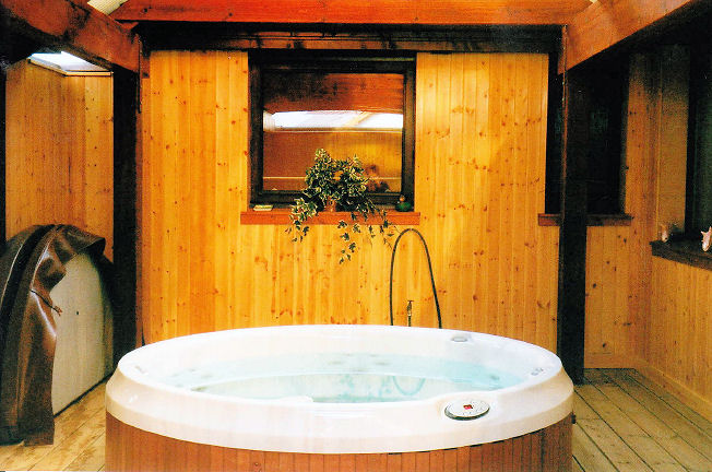 Jacuzzi J-210 